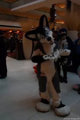 IMG_0769-lr.jpg of MFF/MFF2013/