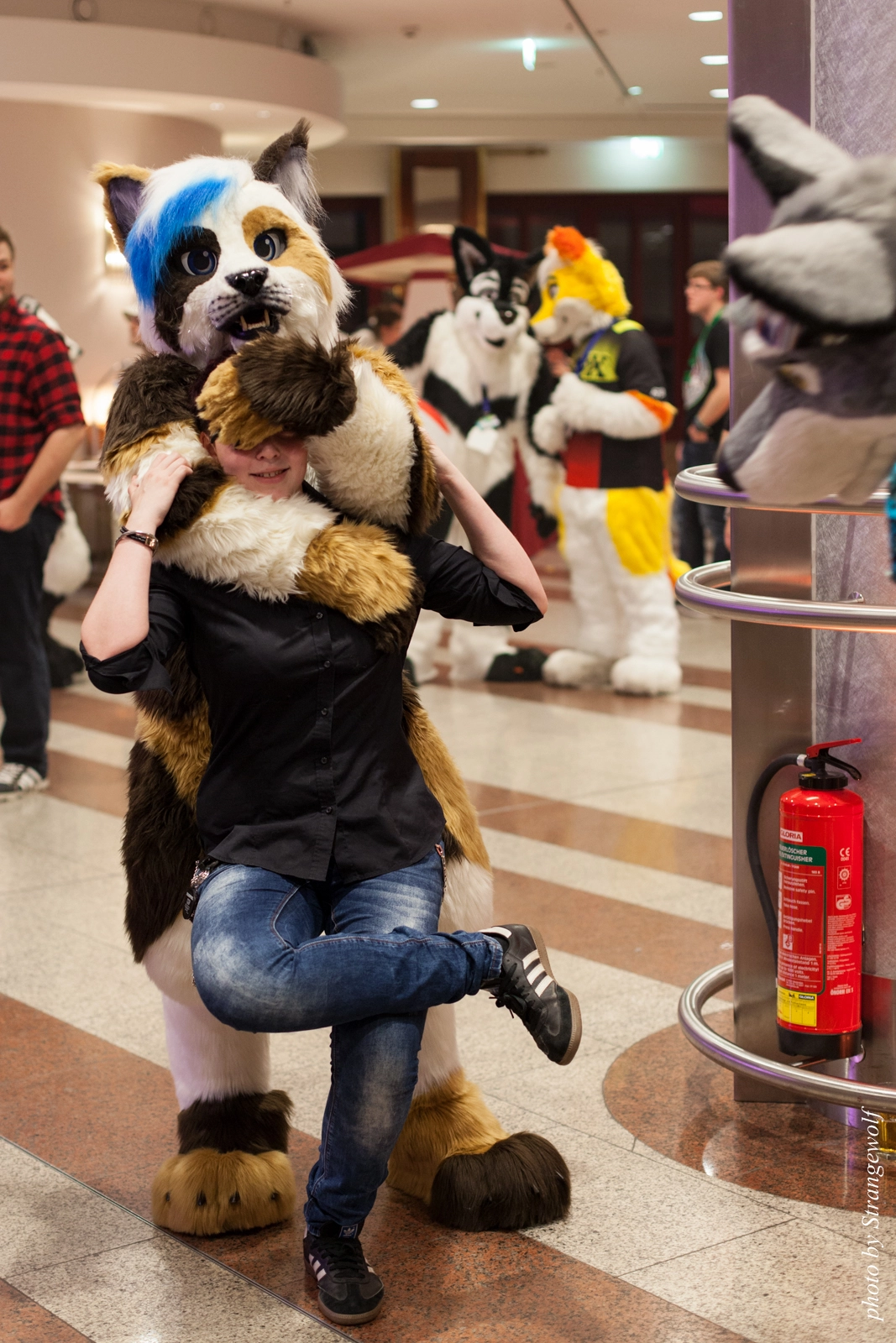 full image IMG_8632-lr16t.jpg