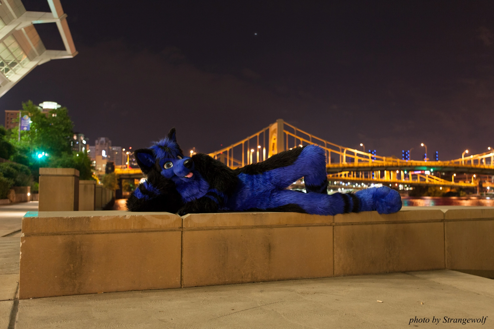 full image IMG_8539-lr16t.jpg