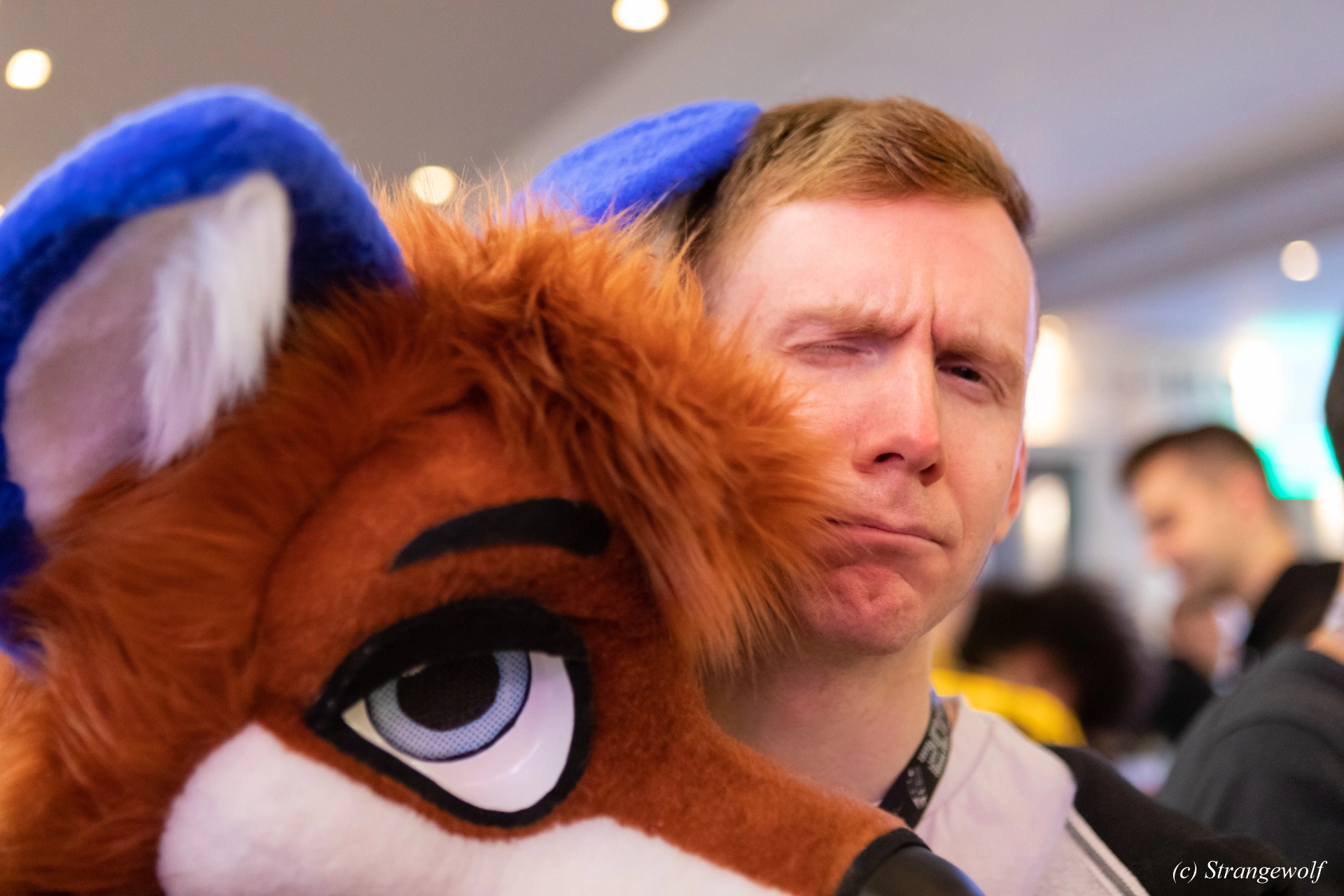 full image 1R3A1535-lr19t.jpg