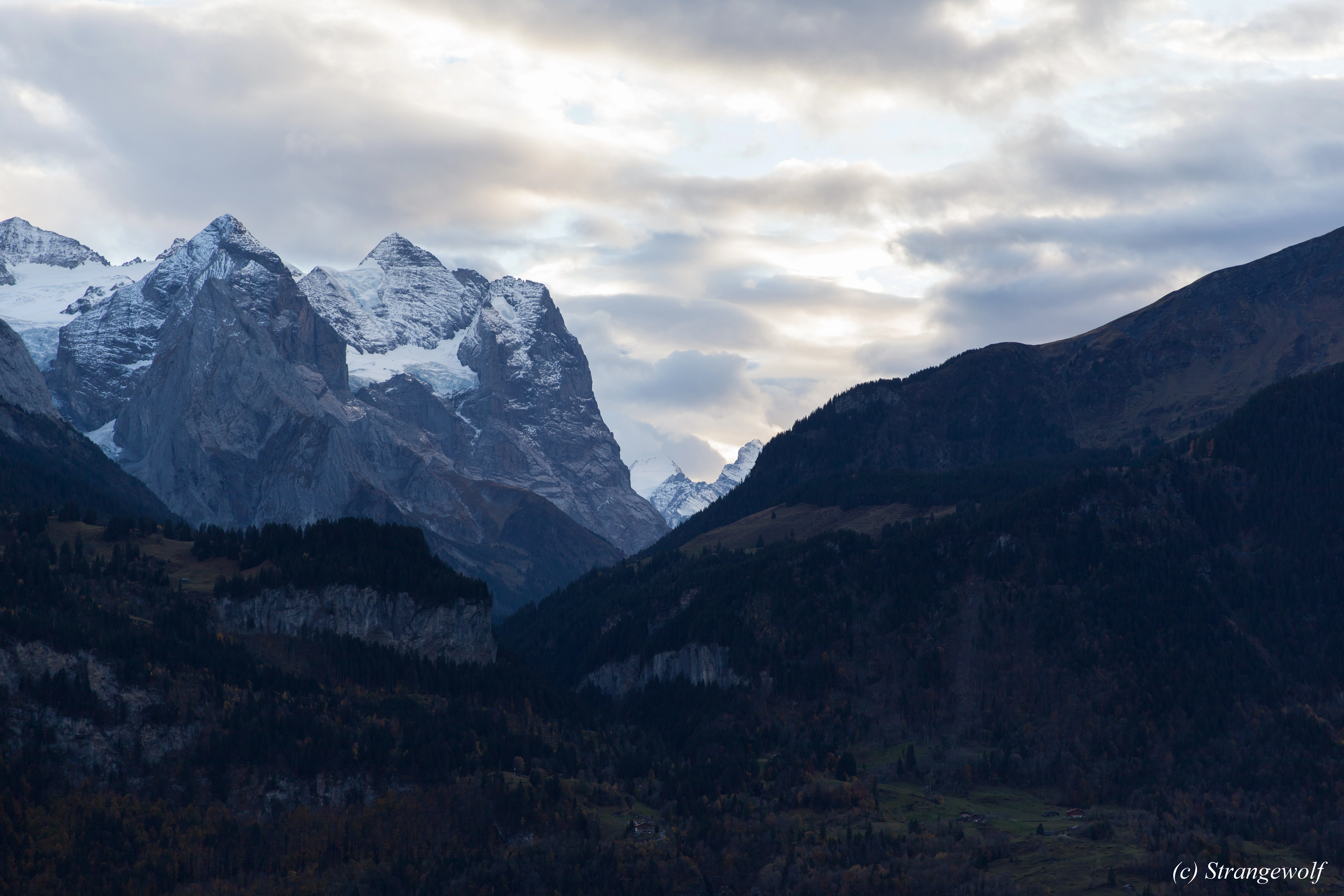 full image IMG_0740-lr.jpg