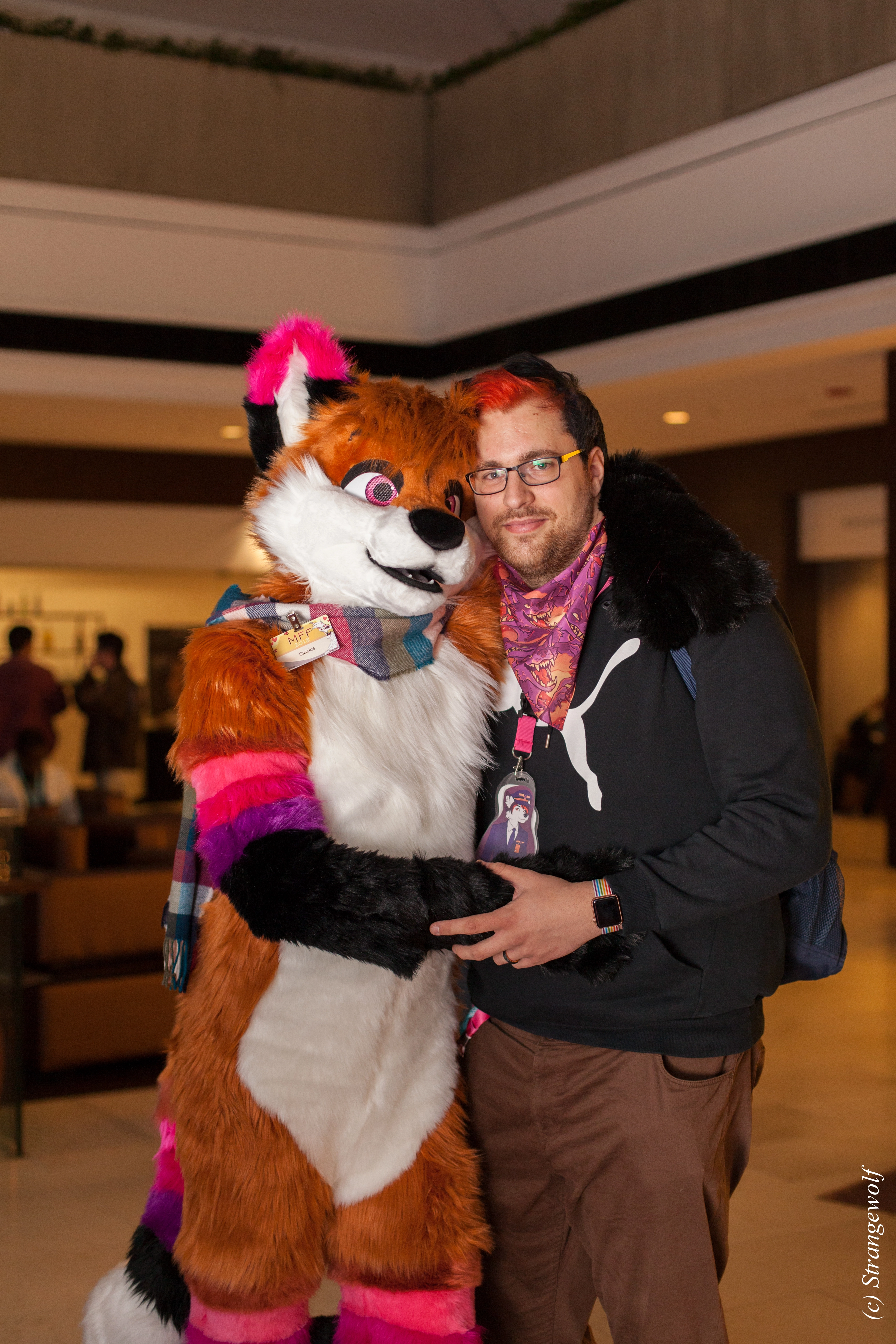 full image IMG_7314-lr.jpg