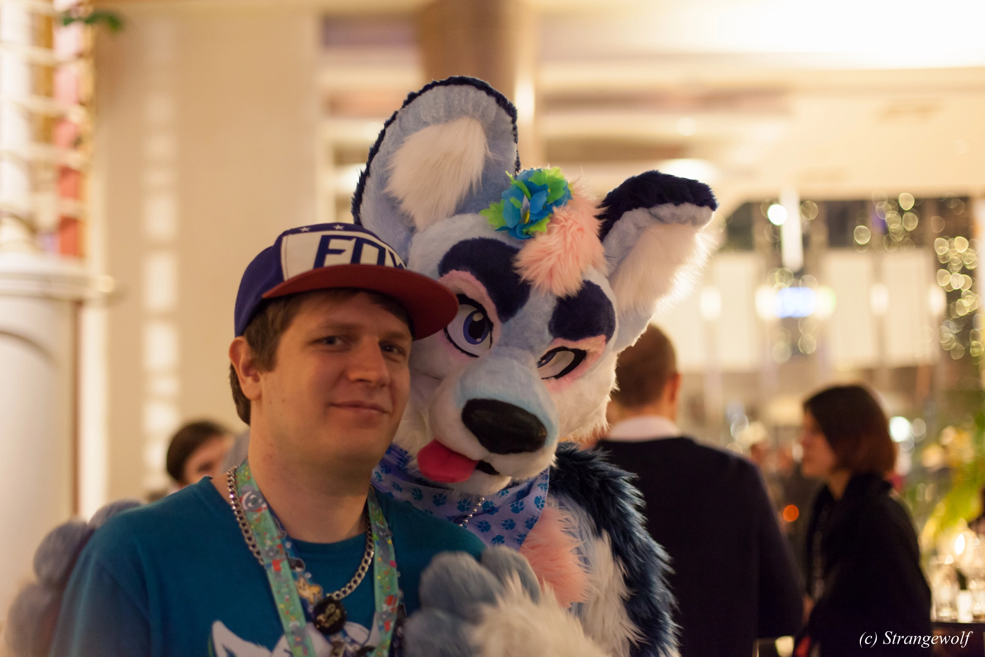 full image IMG_9823-lr19t.jpg