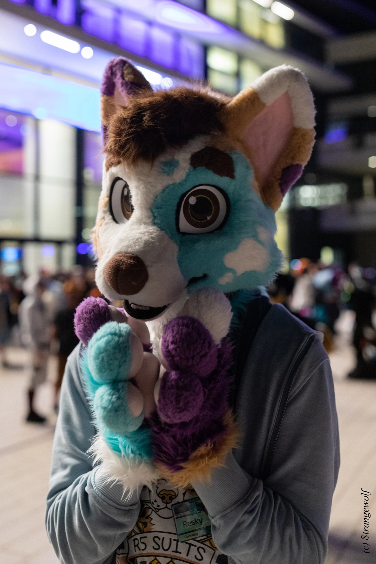 full image 1R3A9446-lr19t.jpg