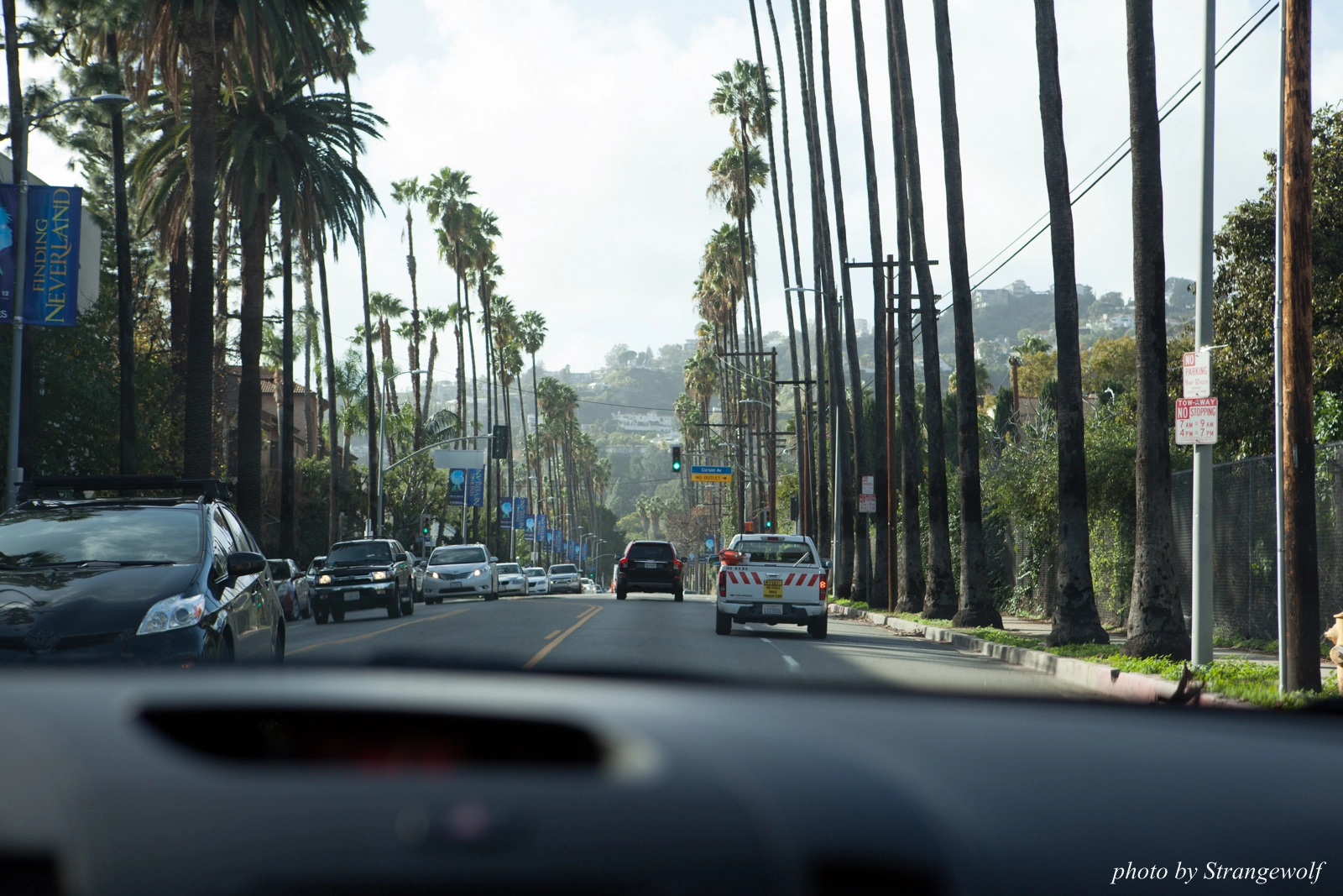 full image IMG_0986-lr16t.jpg