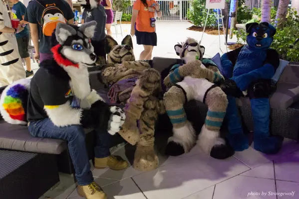 IMG_8637-lr16t.jpg of ESG/ESG2015/