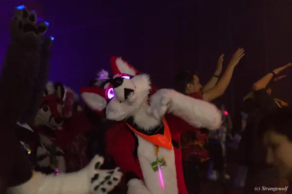 IMG_6830-lr19t.jpg of DFD/DFD2019/