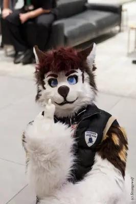 IMG_4800-lr19t.jpg of EF/EF24/