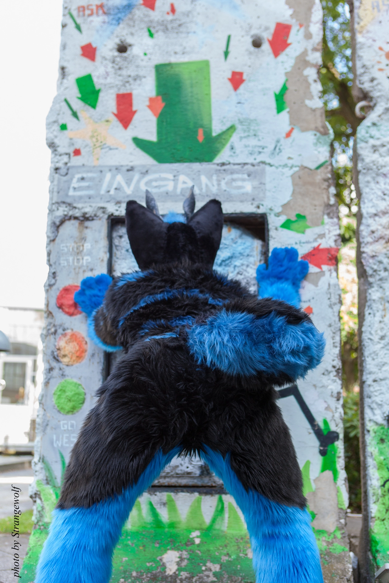full image IMG_7052-lr19t.jpg