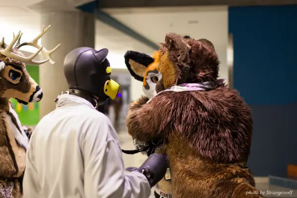 IMG_1178-lr16t.jpg of FC/FC2017/