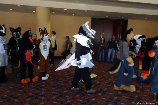 IMG_0503-lr.jpg of MFF/MFF2013/