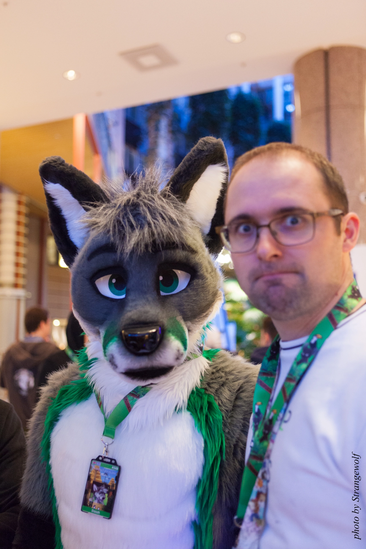 full image IMG_0701-lr19t.jpg