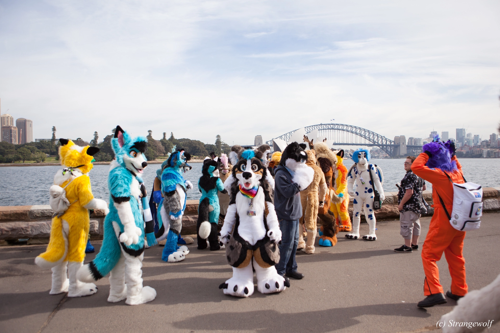 full image IMG_4250-lr19t.jpg