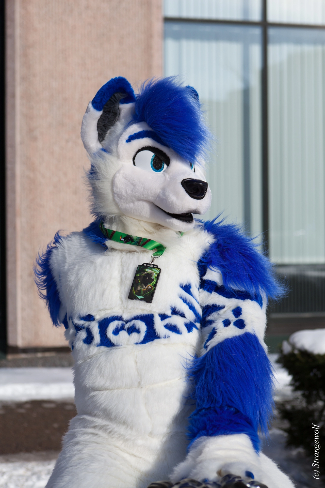 full image IMG_9728-lr19t.jpg