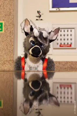 IMG_9915-lr19t.jpg of NFC/NFC2019/