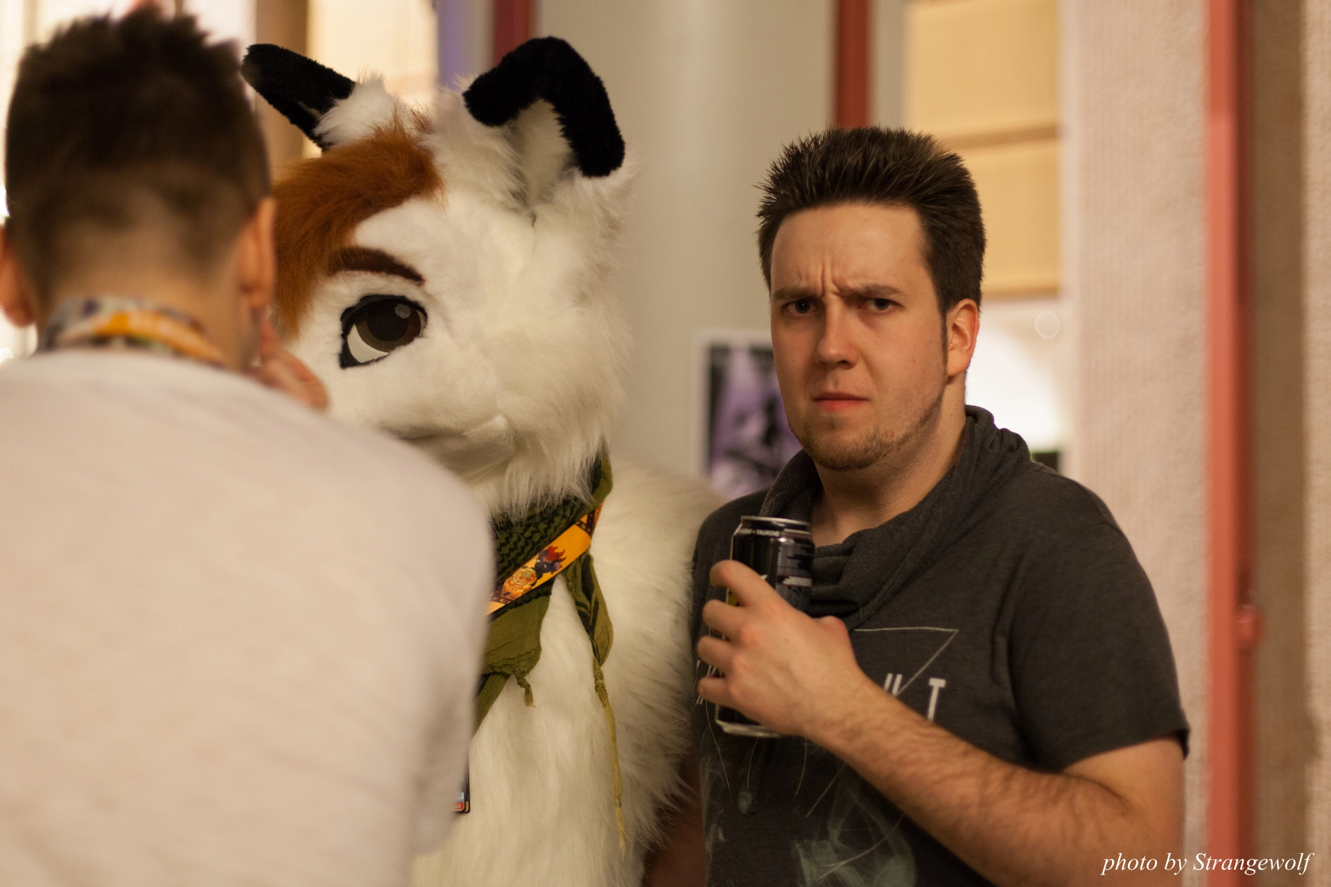 full image IMG_9214-lr19t.jpg