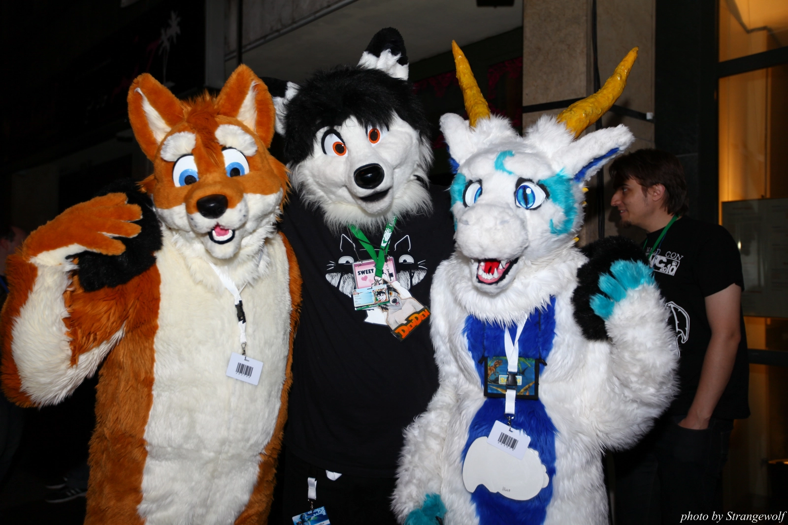 full image IMG_7570-lr16t.jpg