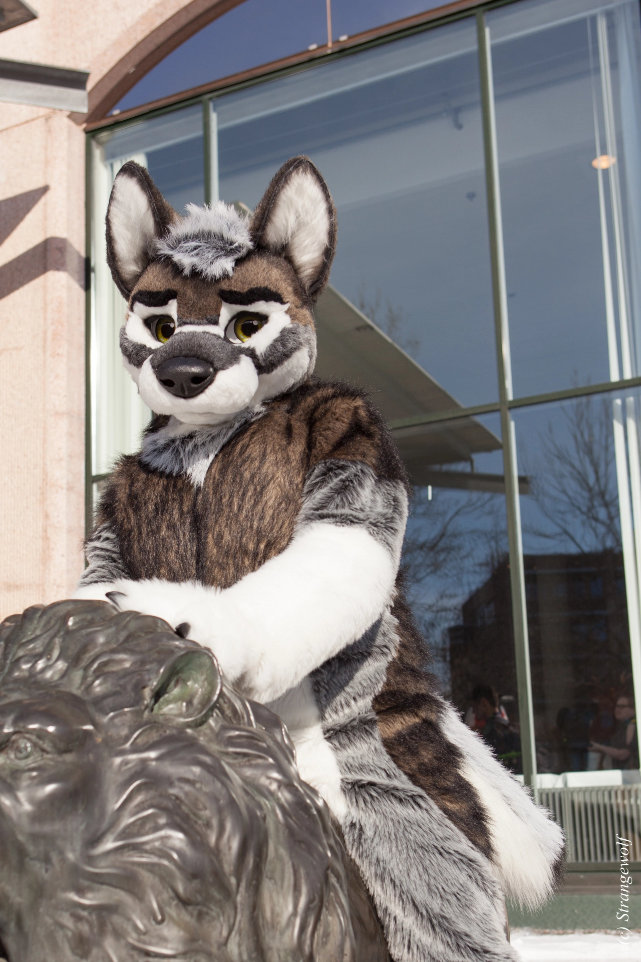 full image IMG_9530-lr19t.jpg