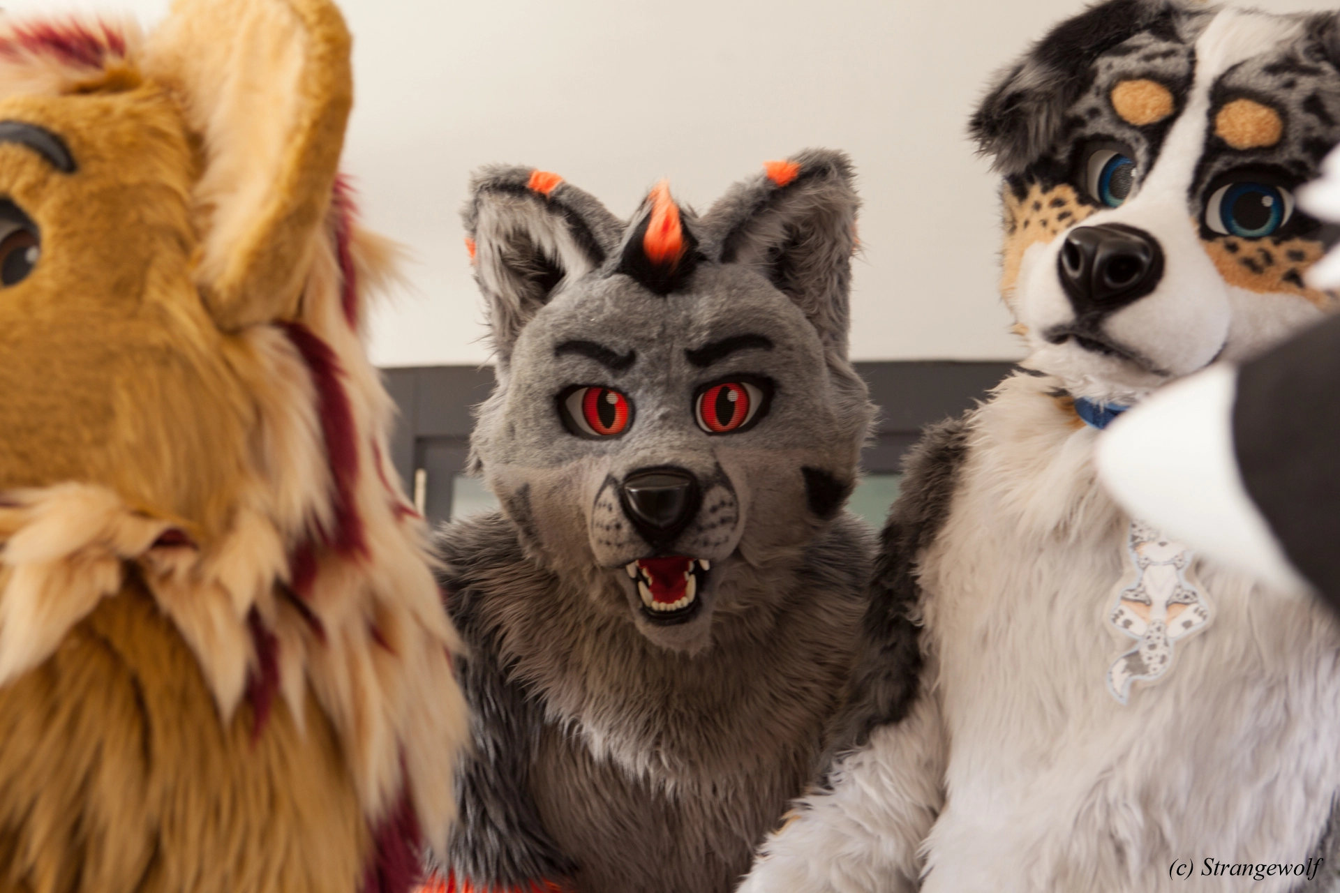 full image IMG_4920-lr19t.jpg