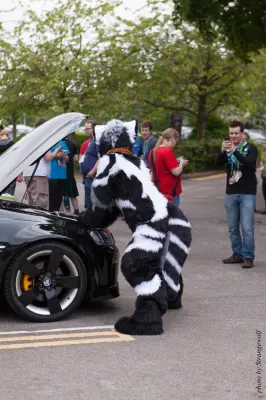 IMG_7203-lr16t.jpg of CFZ/CFZ2016/