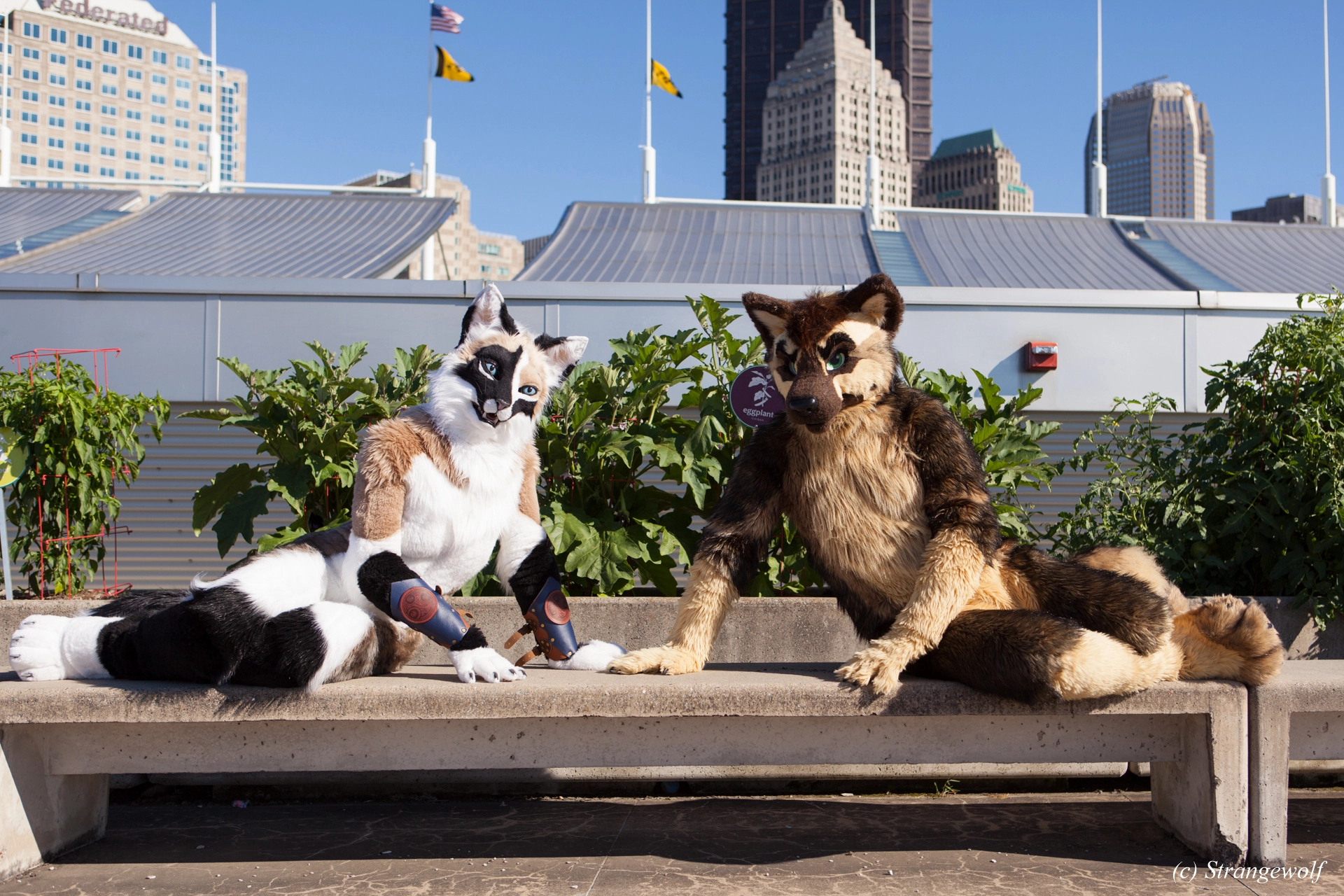 full image IMG_4313-lr19t.jpg