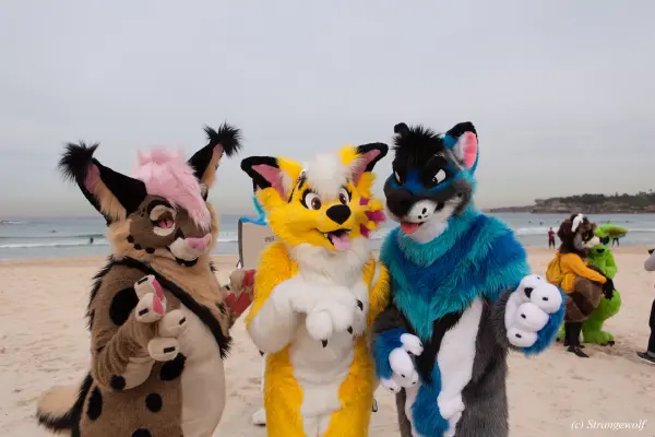 IMG_4491-lr19t.jpg of HCFC/HCFC2019/