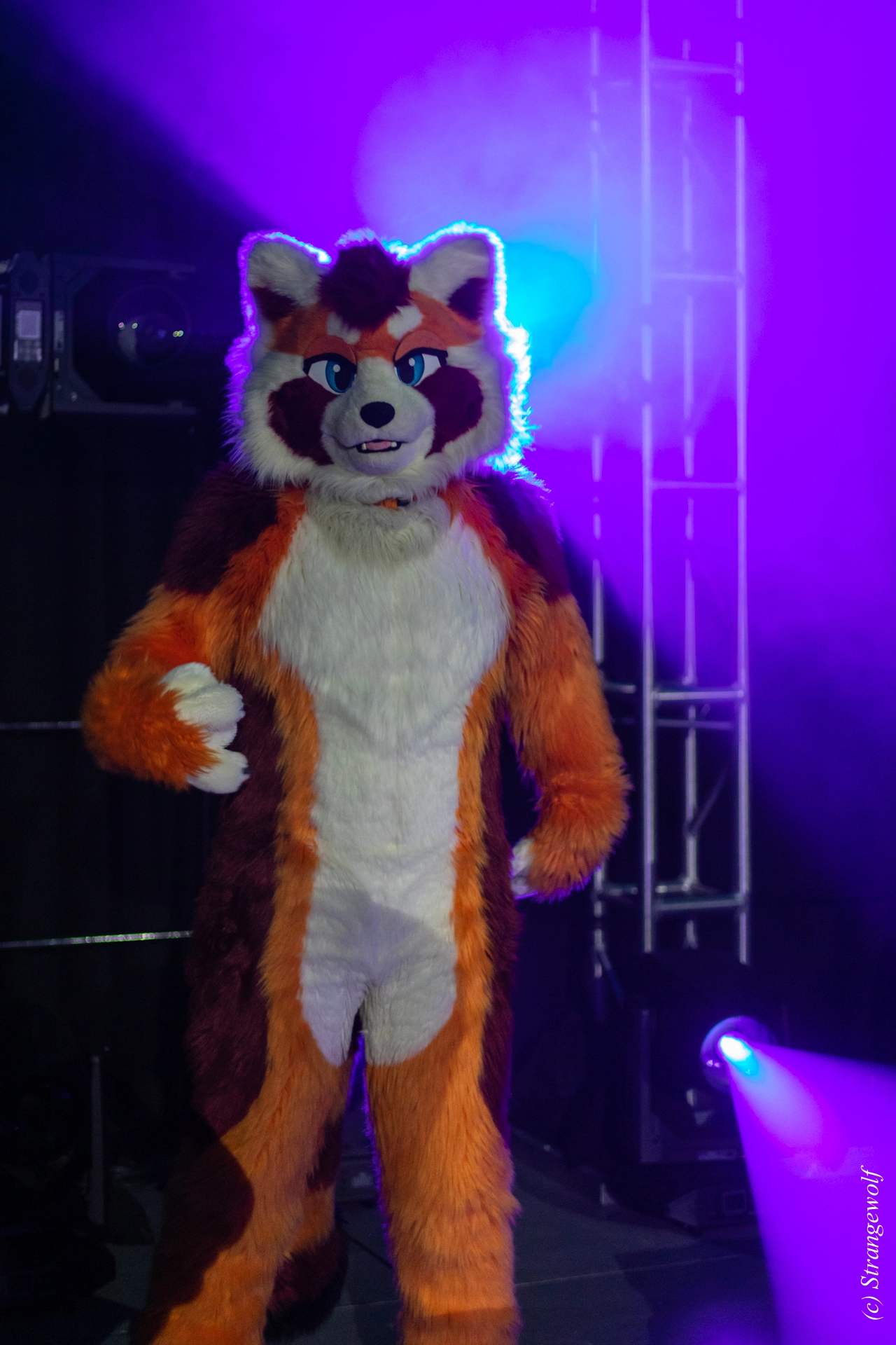 full image 1R3A0481-lr19t.jpg