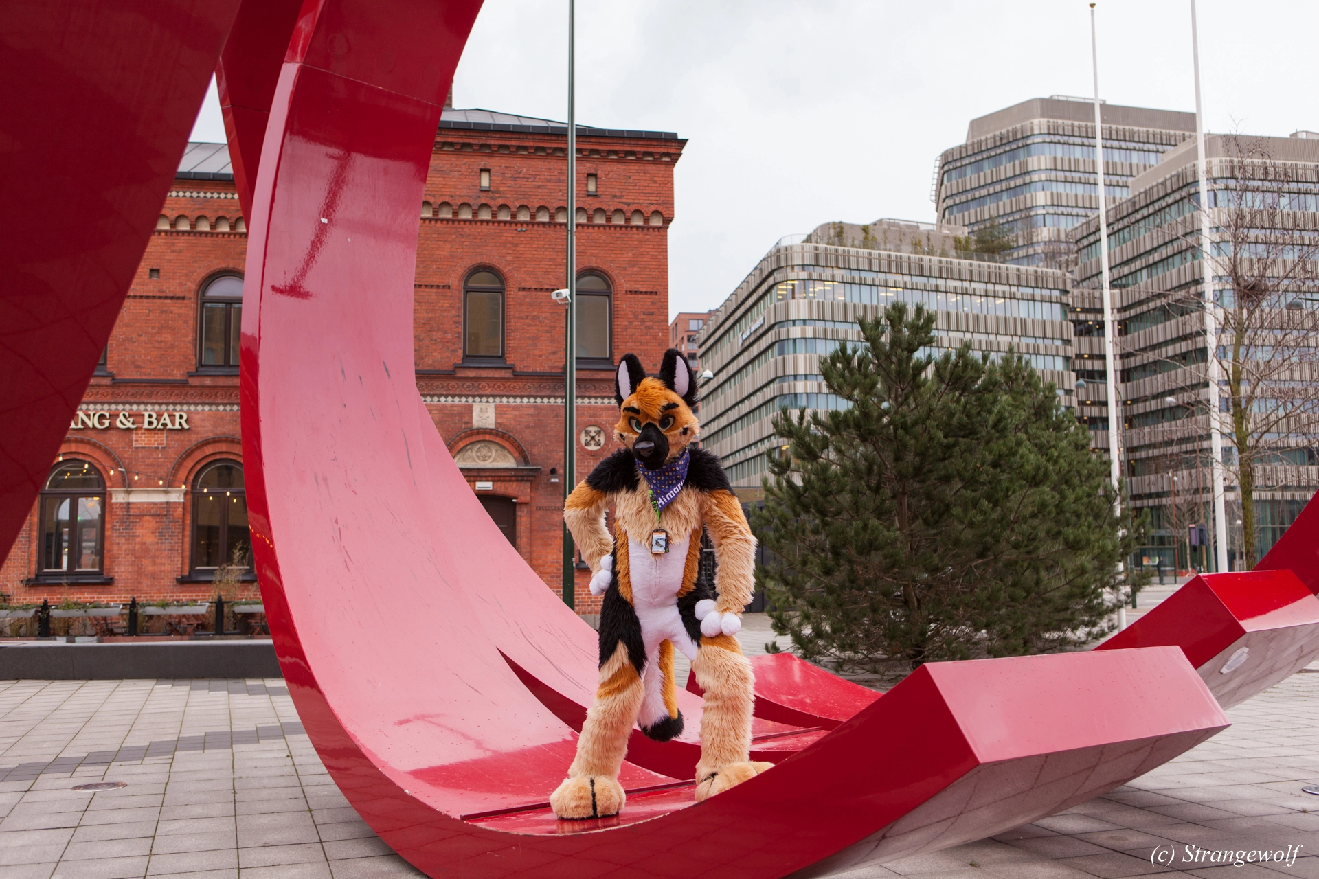 full image IMG_9032-lr19t.jpg