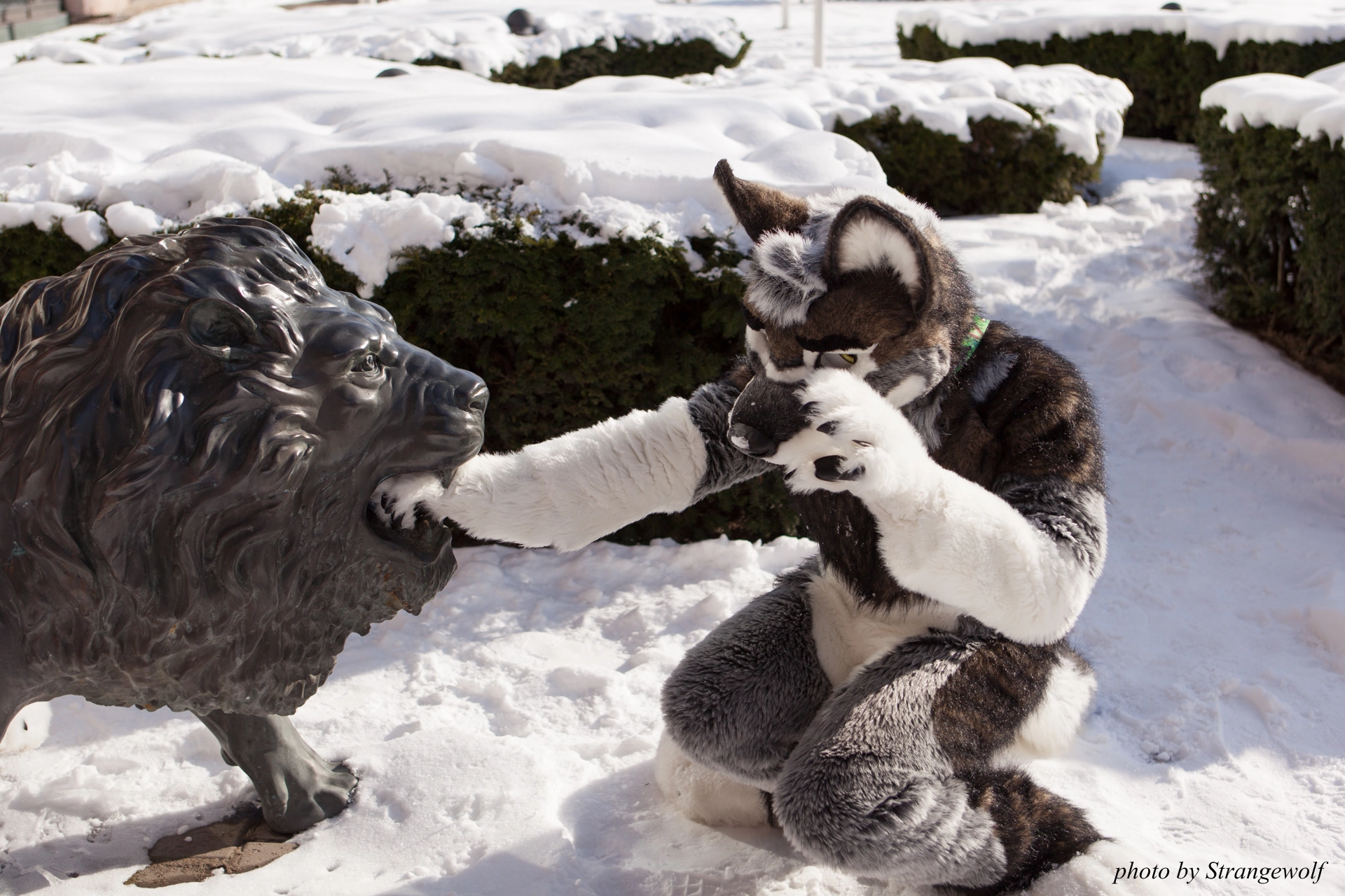 full image IMG_9591-lr19t.jpg