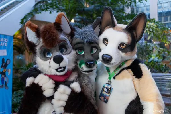 IMG_0205-lr19t.jpg of NFC/NFC2018/