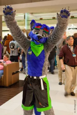 IMG_8274-lr19t.jpg of MFF/MFF2017/