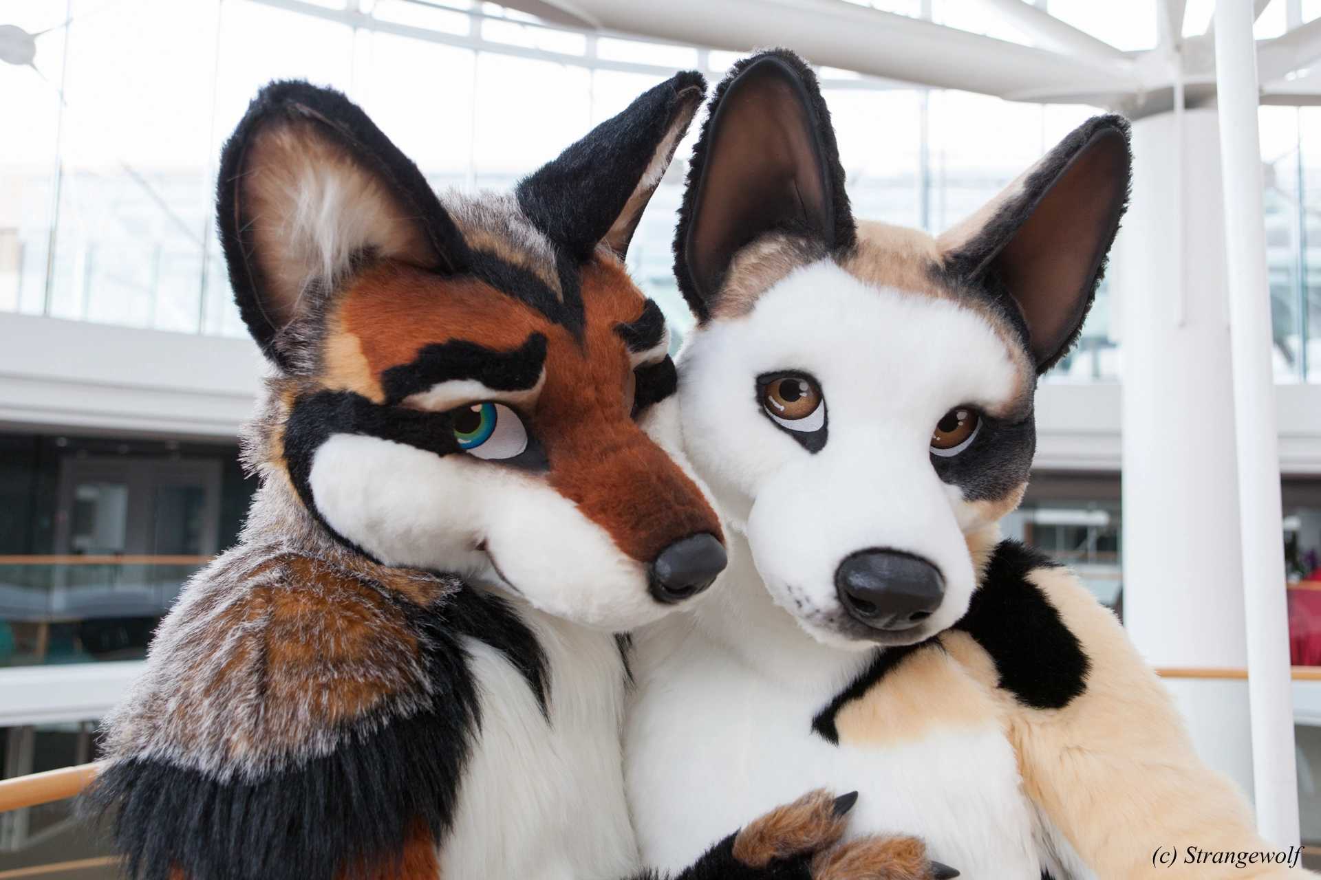 full image IMG_0505-lr19t.jpg