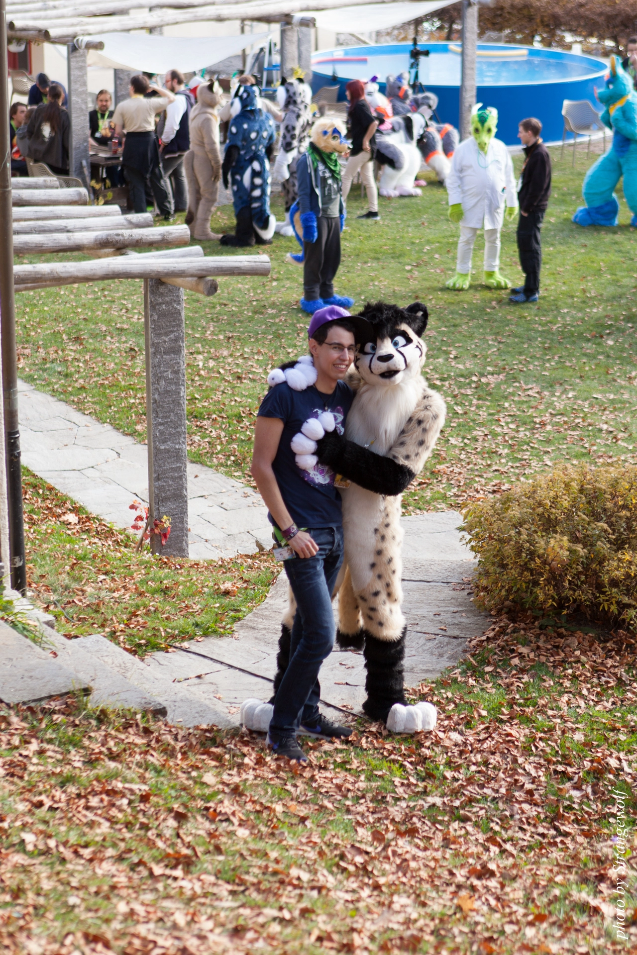 full image IMG_7857-lr19t.jpg