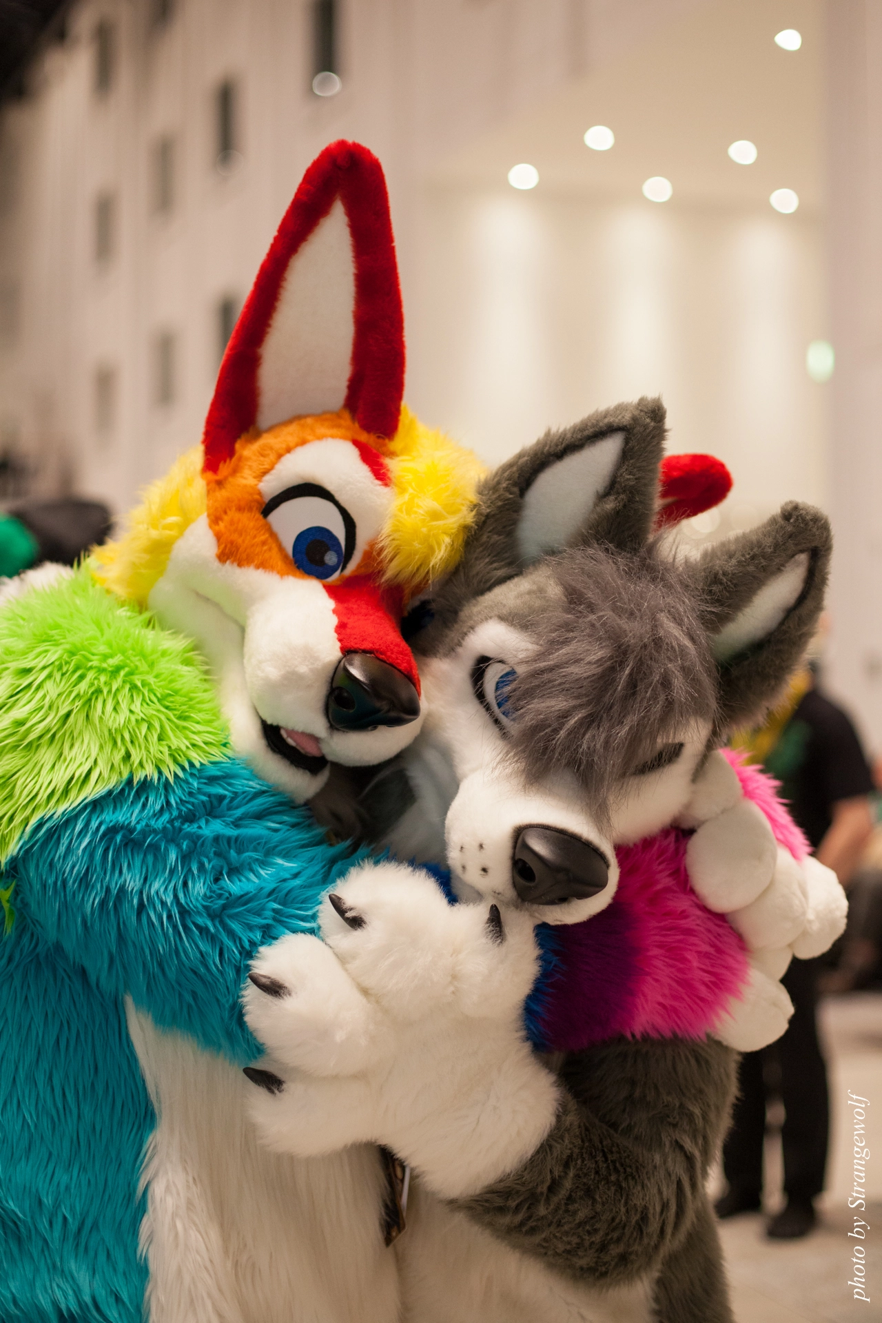 full image IMG_6319-lr19t.jpg