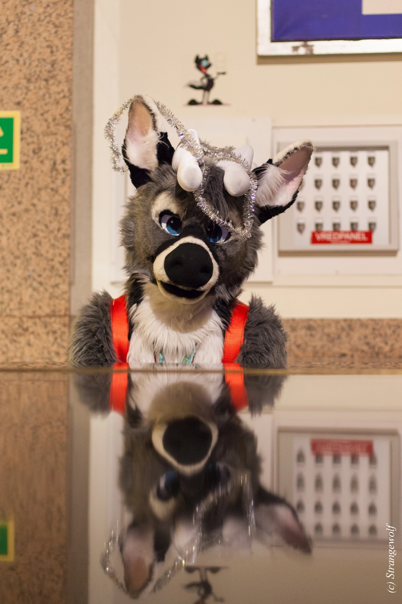 full image IMG_9915-lr19t.jpg