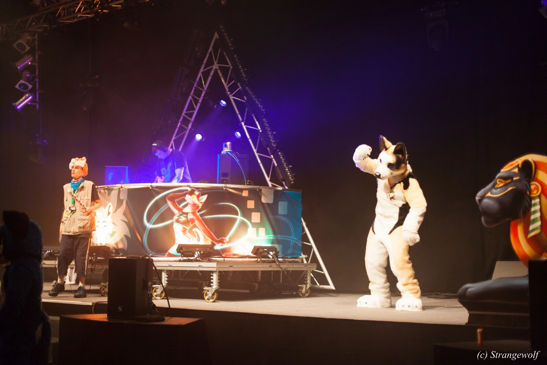 full image IMG_6677-lr19t.jpg