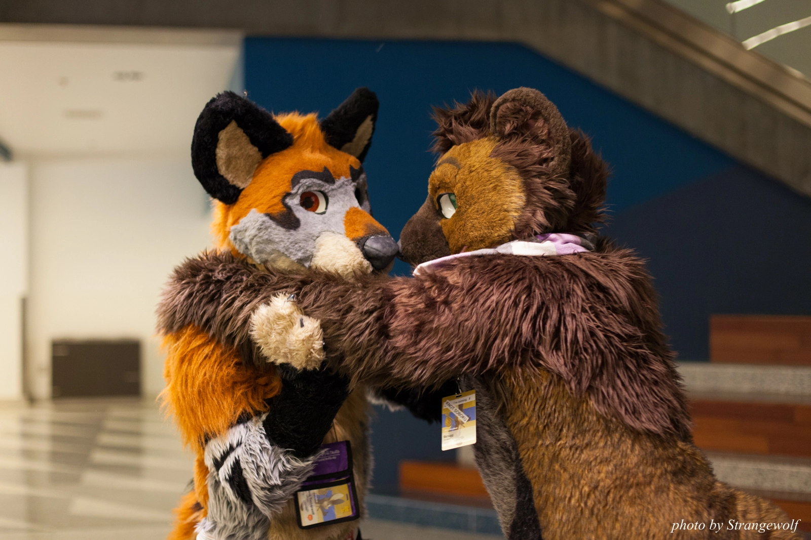 full image IMG_1182-lr16t.jpg