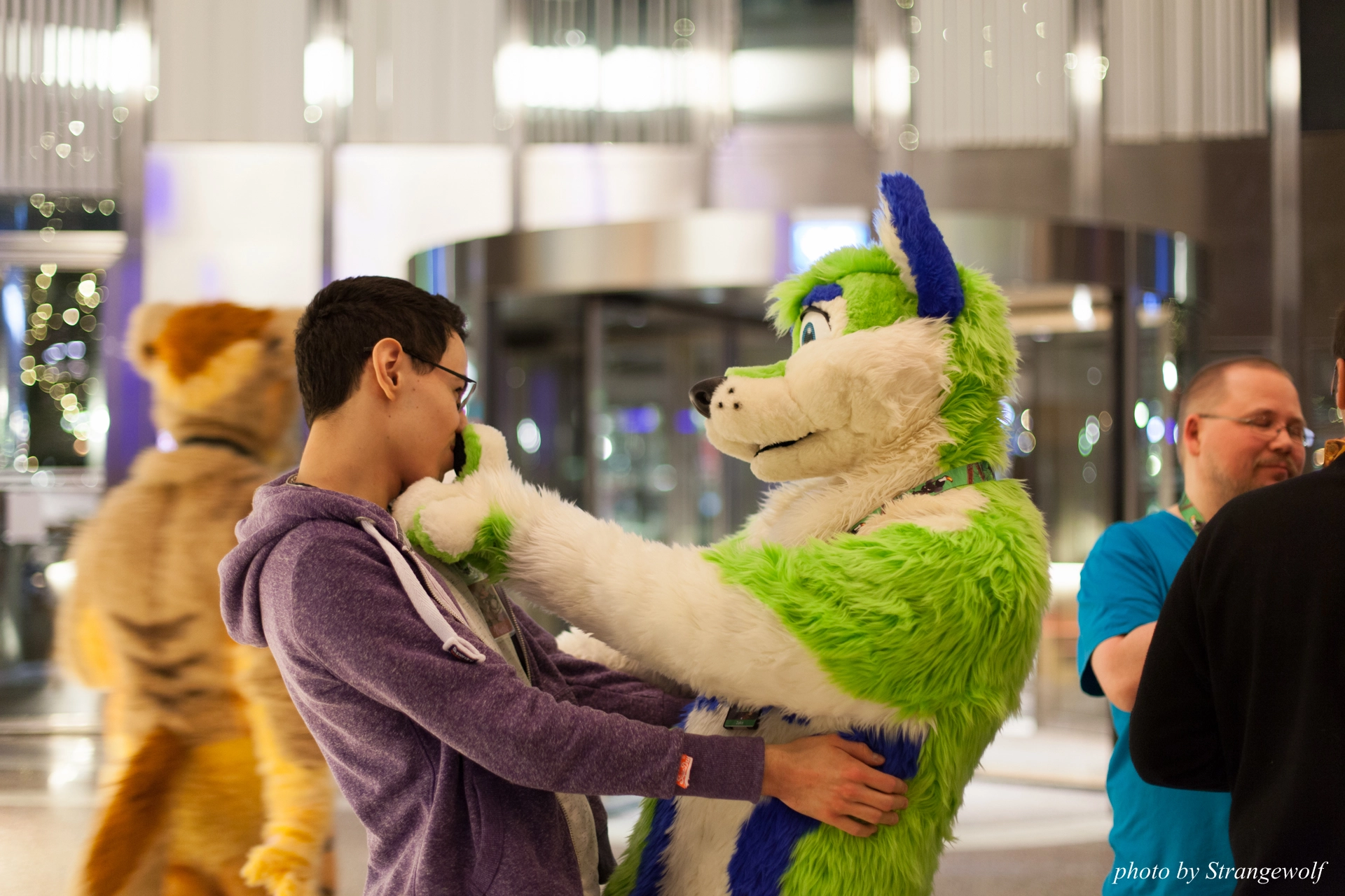 full image IMG_9195-lr19t.jpg