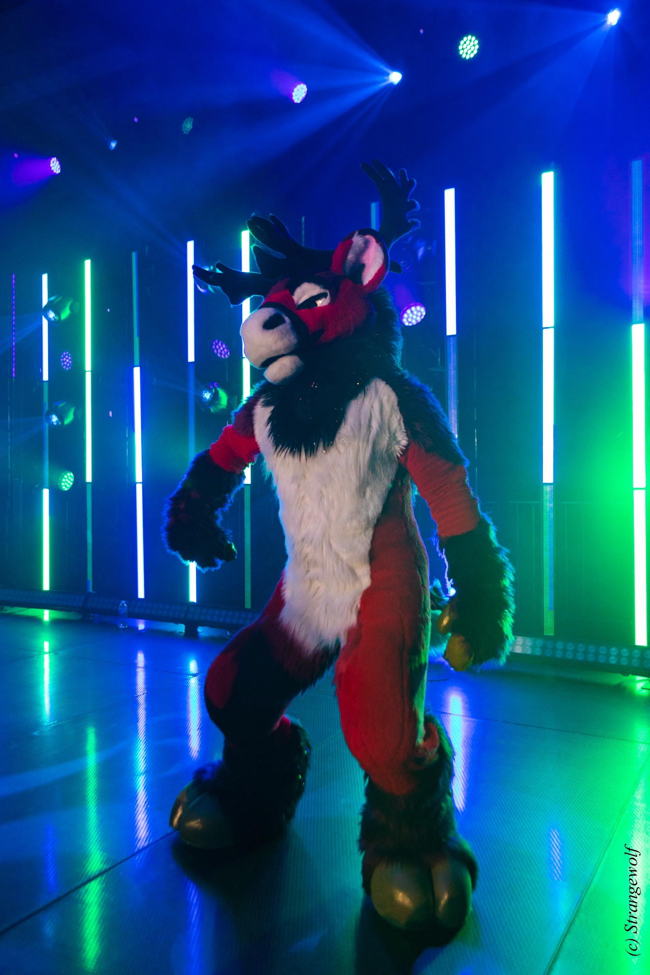 full image 1R3A5093-lr19t.jpg