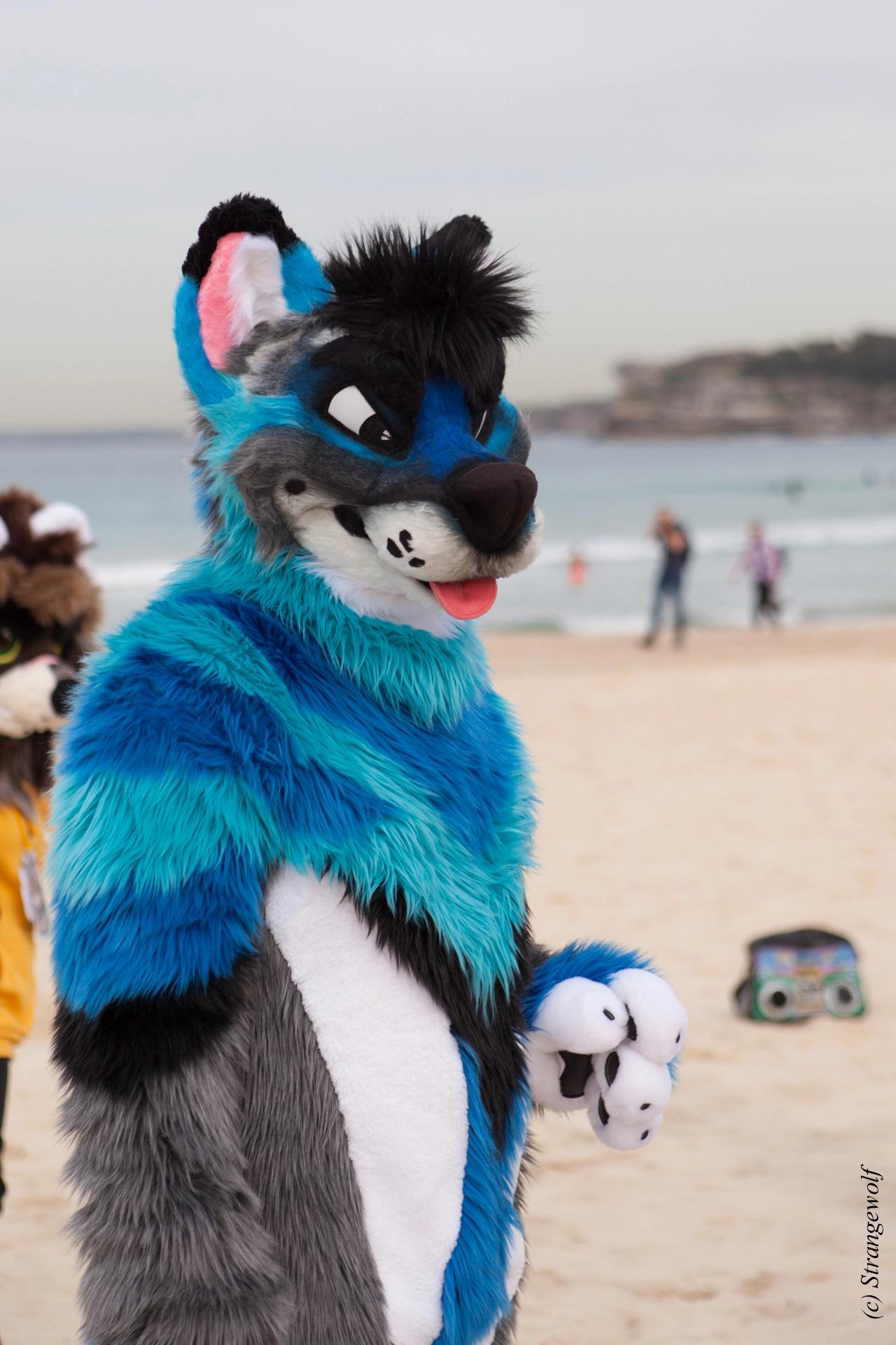 full image IMG_4433-lr19t.jpg