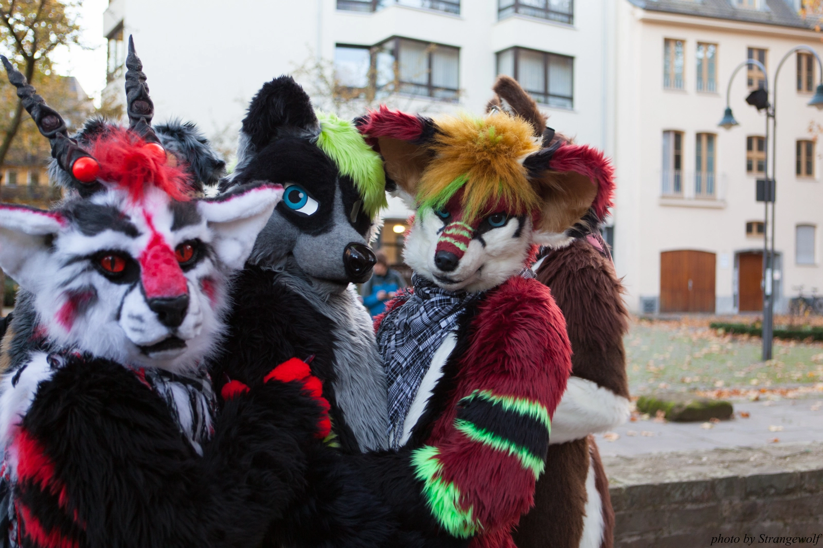 full image IMG_5314-lr16t.jpg