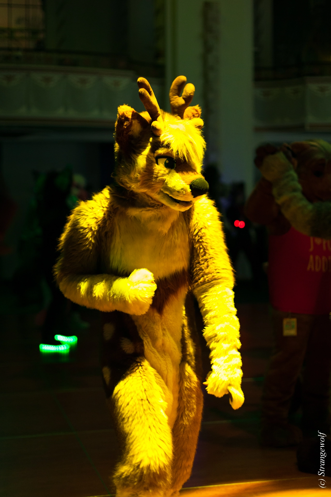 full image IMG_3063-lr19t.jpg