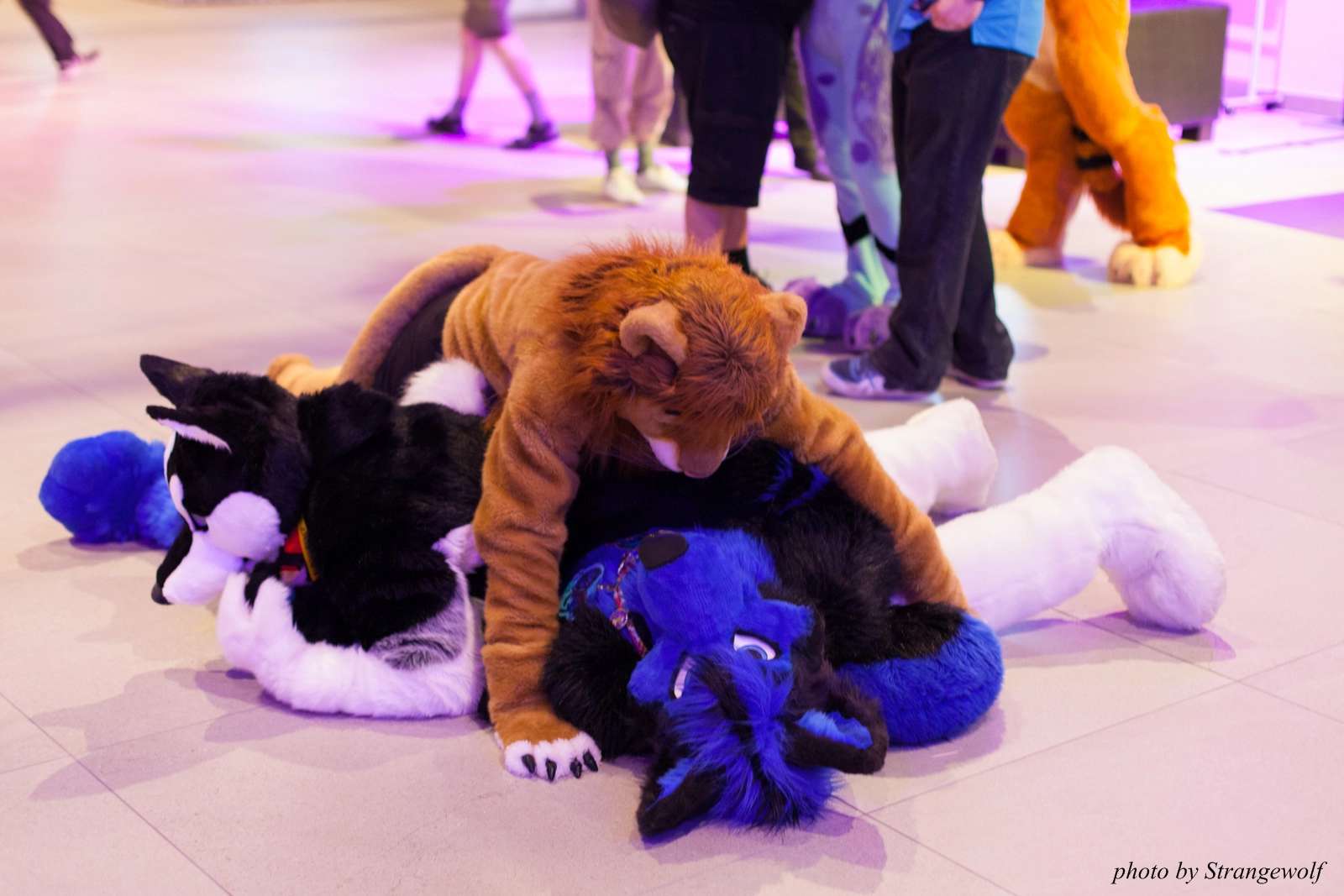 full image IMG_0039-lr16t.jpg