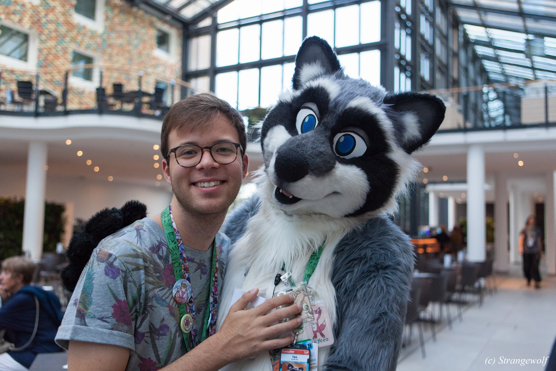 full image IMG_5437-lr19t.jpg