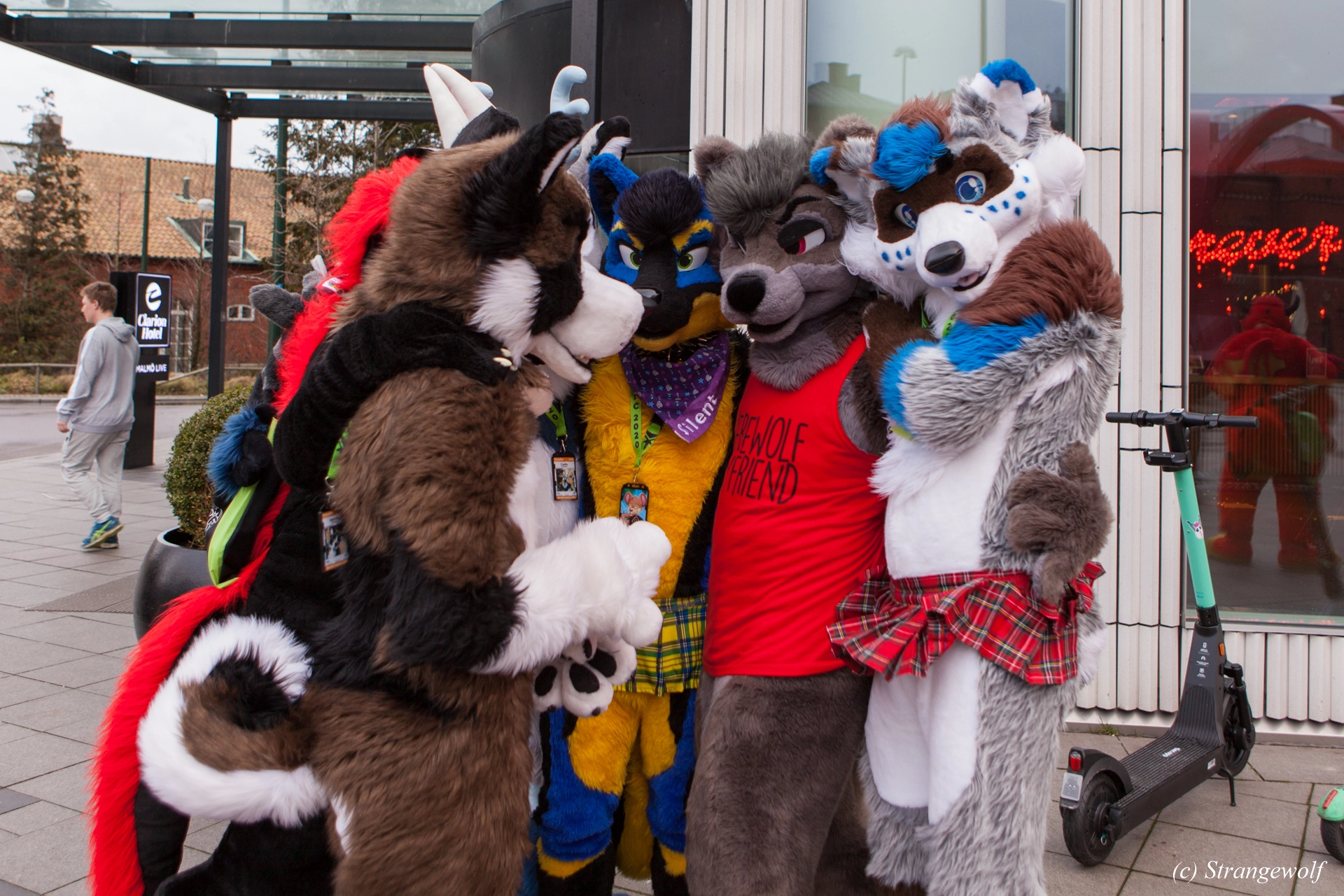 full image IMG_9009-lr19t.jpg