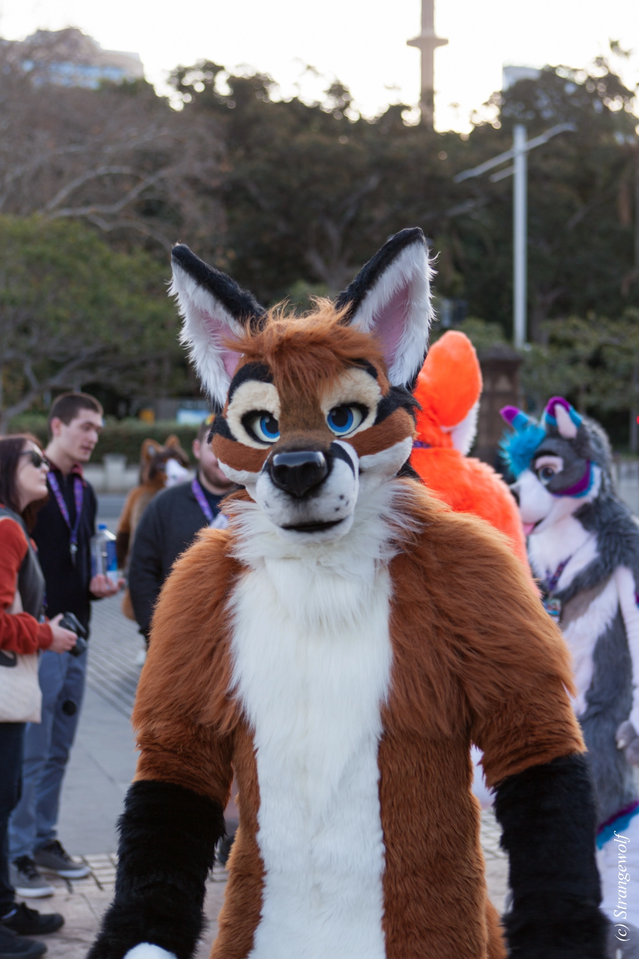 full image IMG_4649-lr19t.jpg