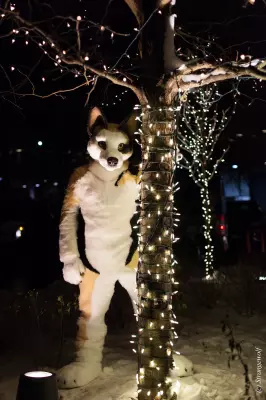 IMG_7176-lr19t.jpg of MFF/MFF2018/