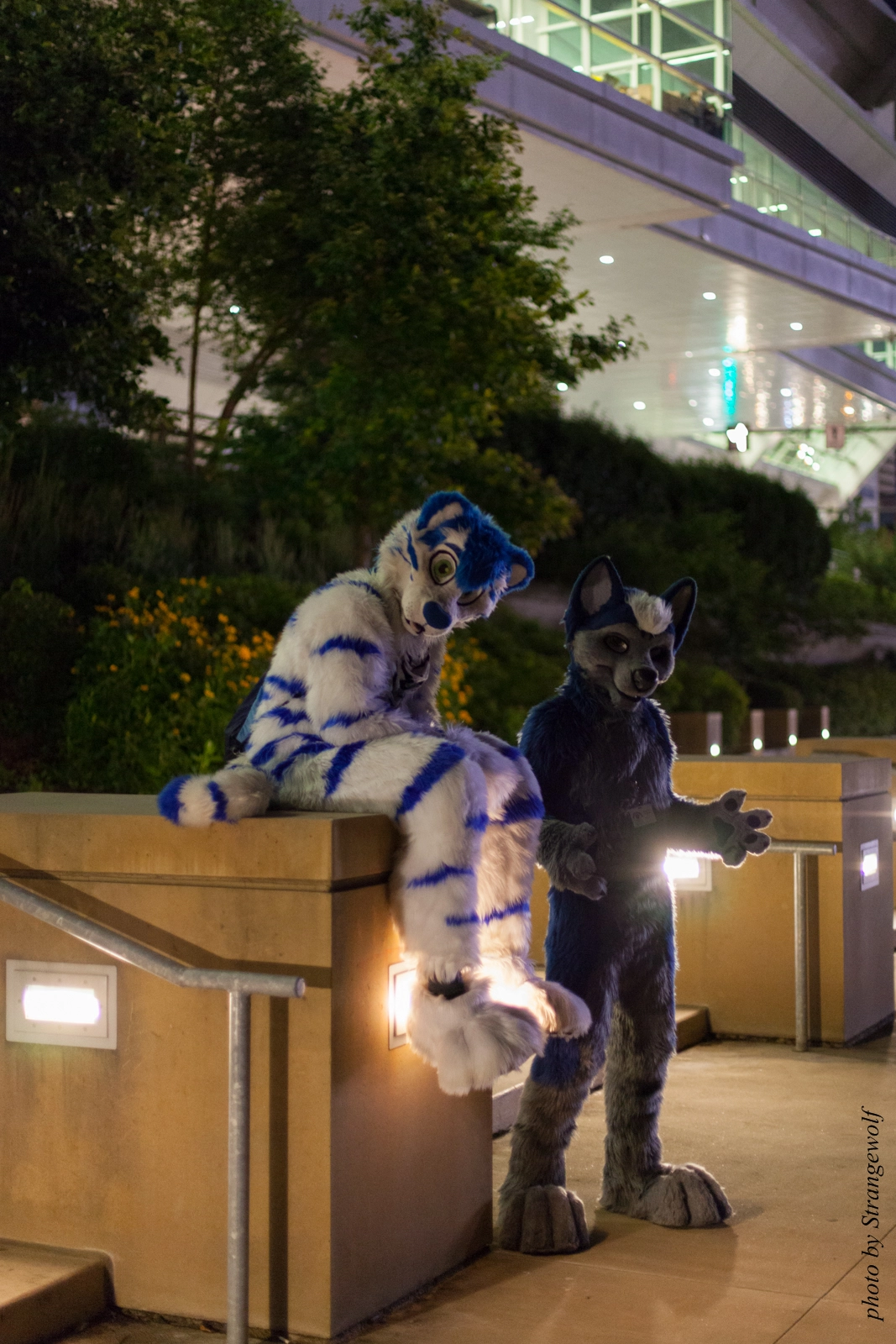 full image IMG_8007-lr16t.jpg