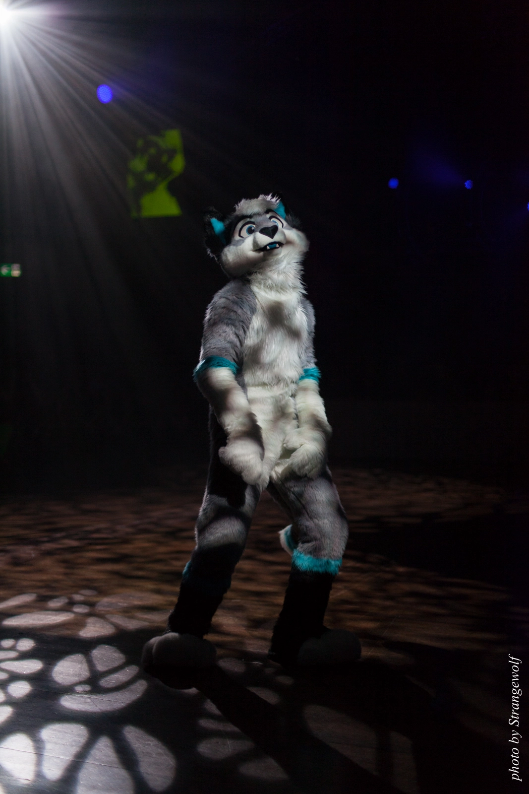 full image IMG_9123-lr16t.jpg
