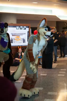 IMG_1062-lr16t.jpg of FC/FC2017/